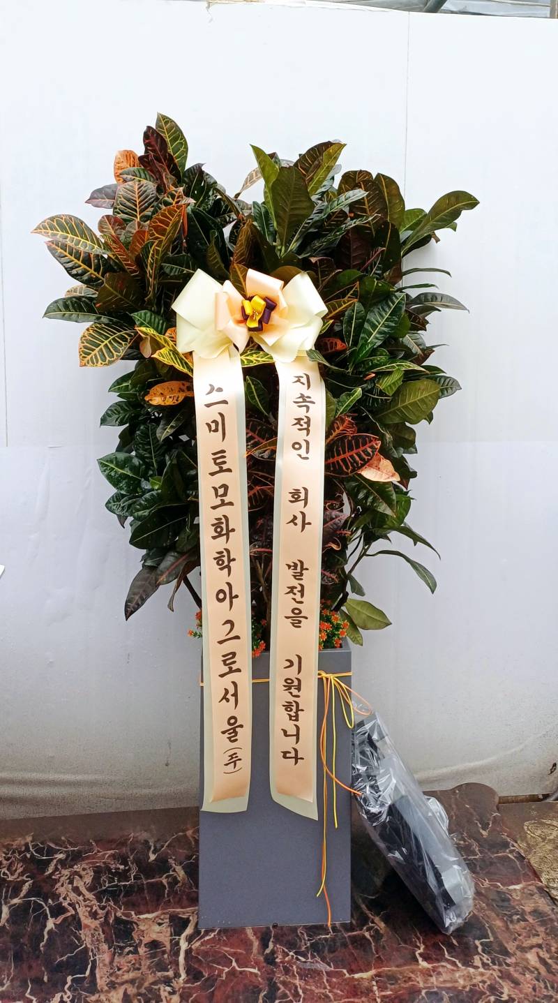 업로드 이미지