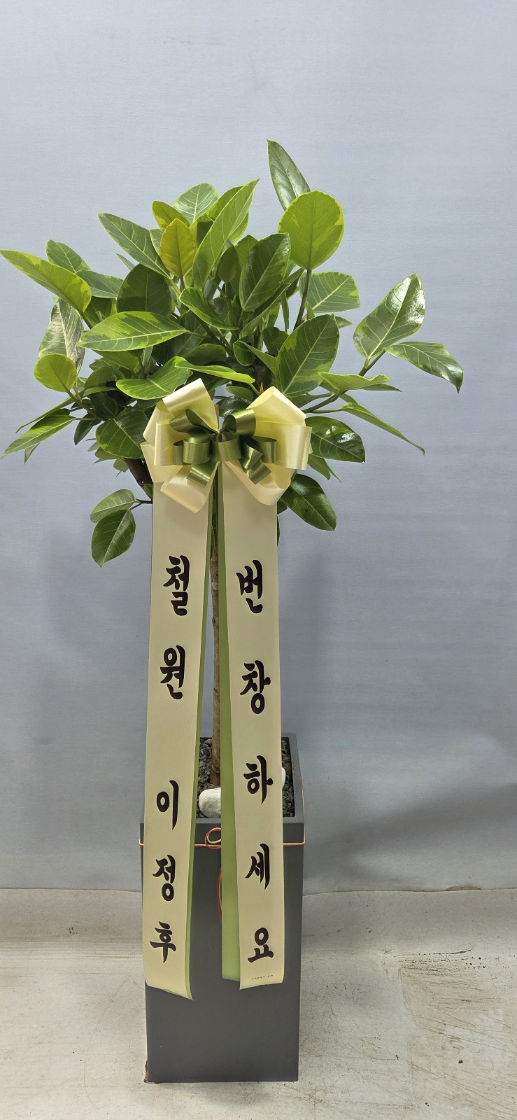 업로드 이미지