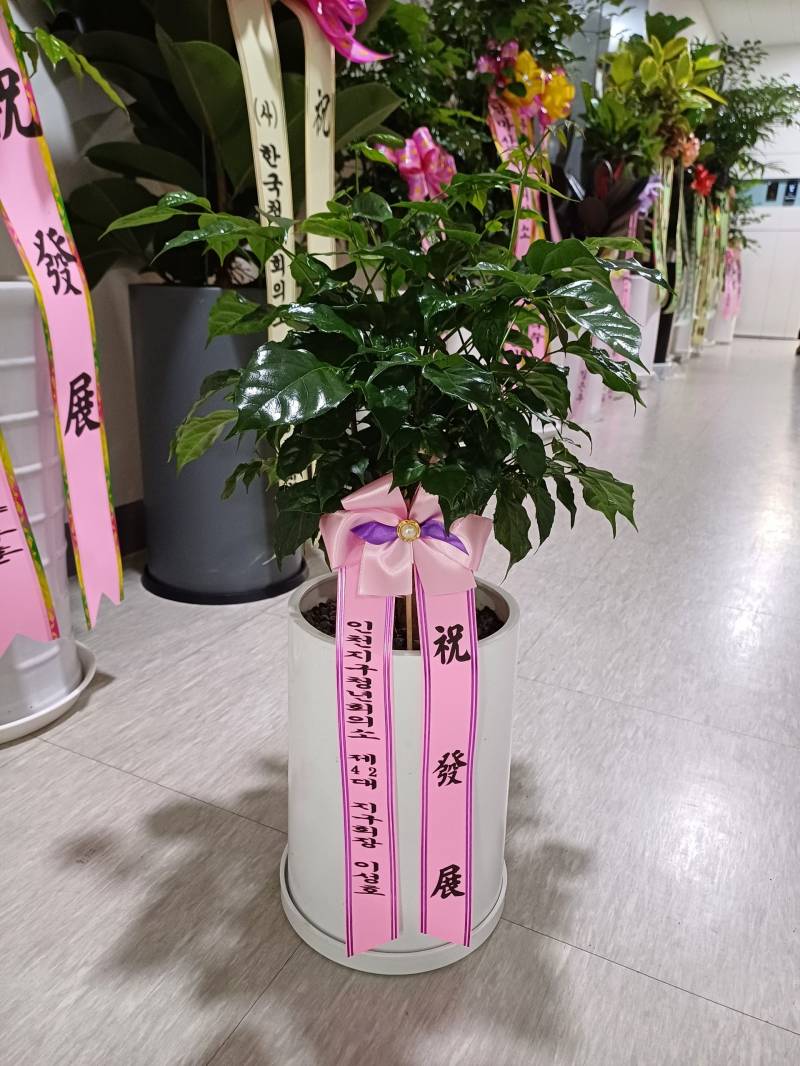 업로드 이미지