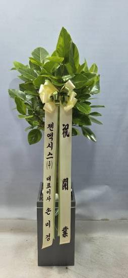 업로드 이미지