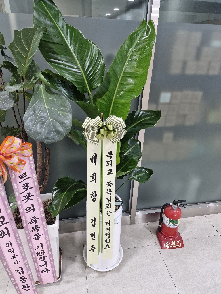 업로드 이미지