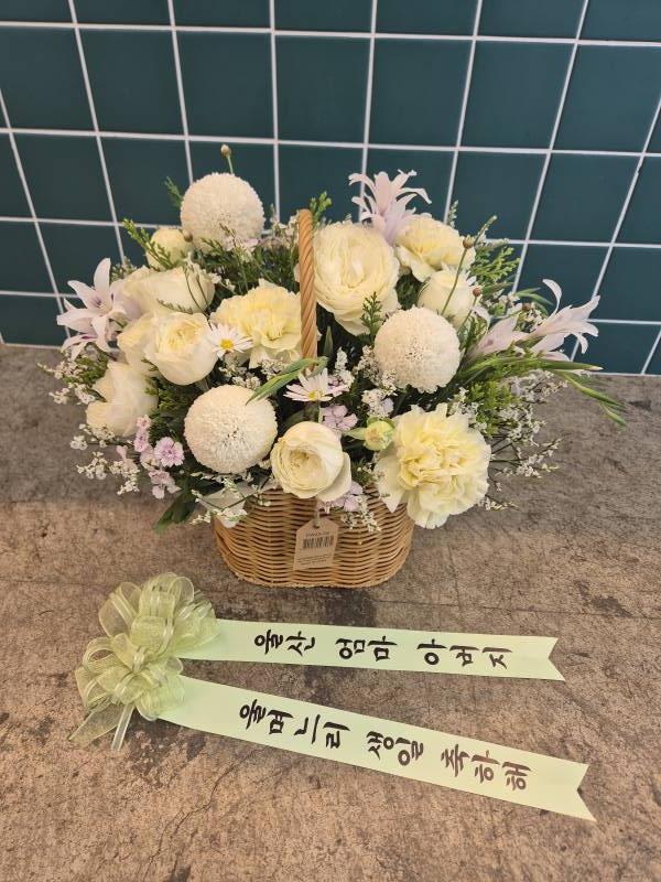 업로드 이미지