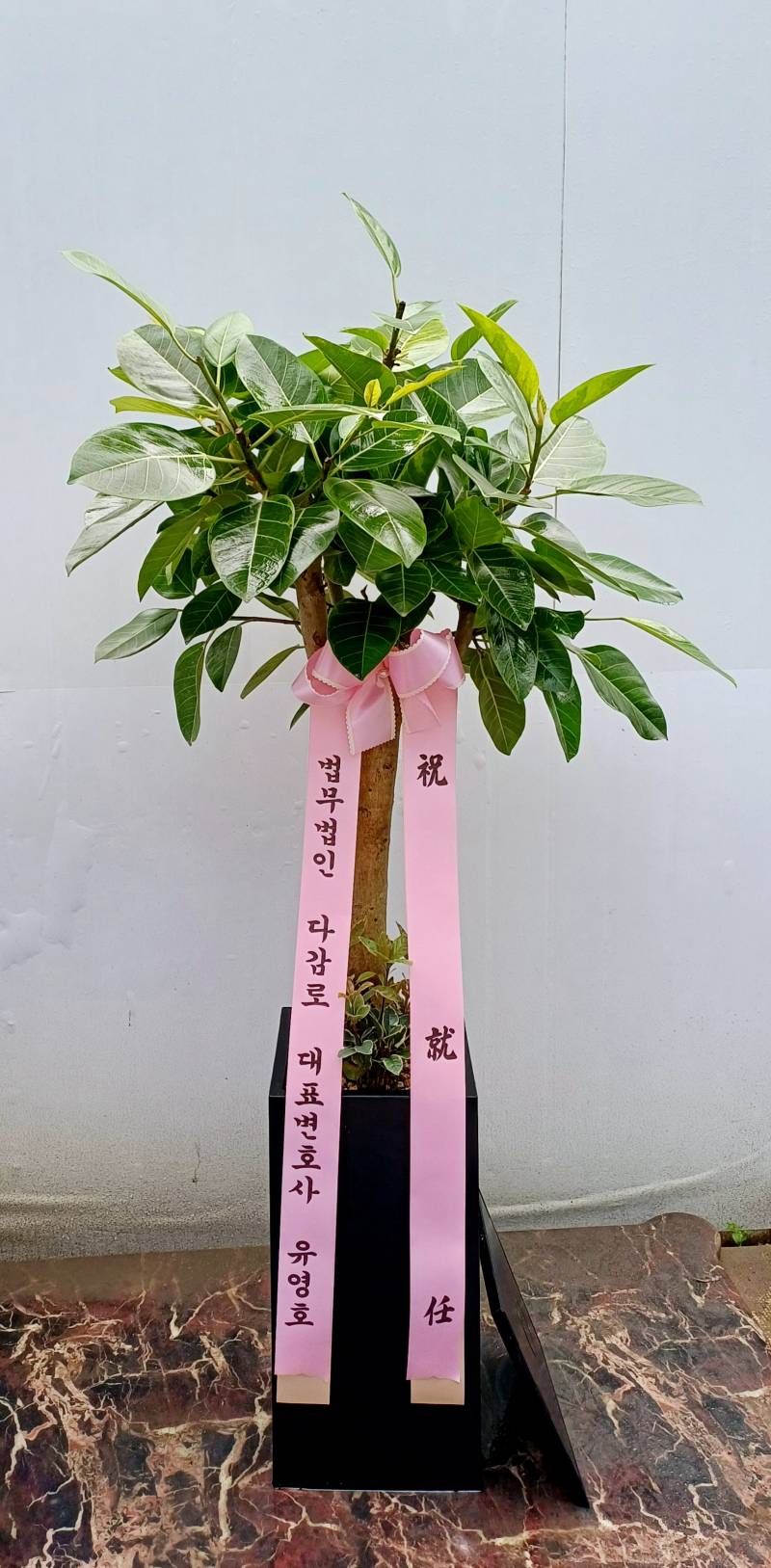 업로드 이미지