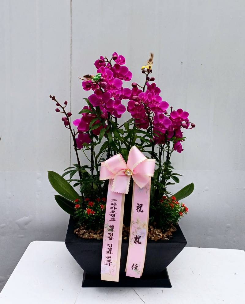 업로드 이미지