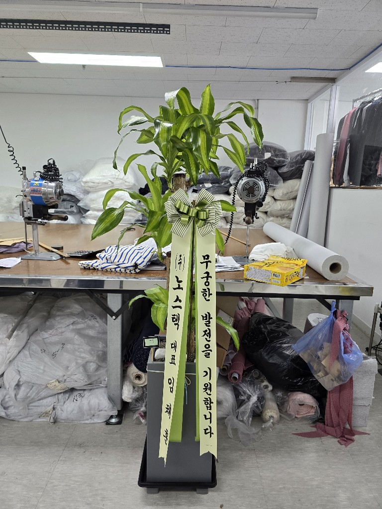 업로드 이미지