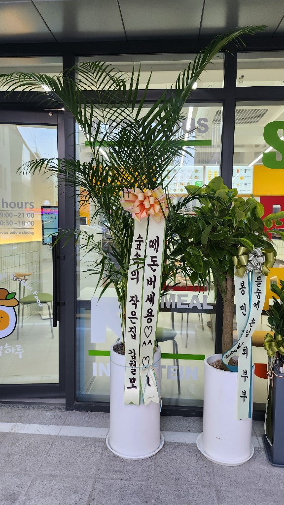 업로드 이미지