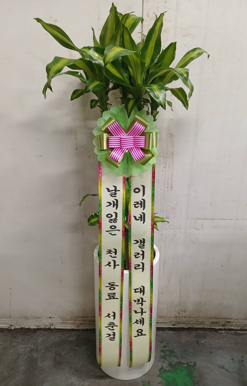 업로드 이미지