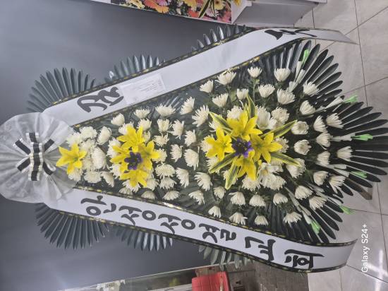 업로드 이미지