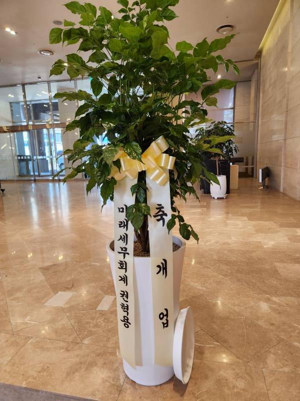 업로드 이미지