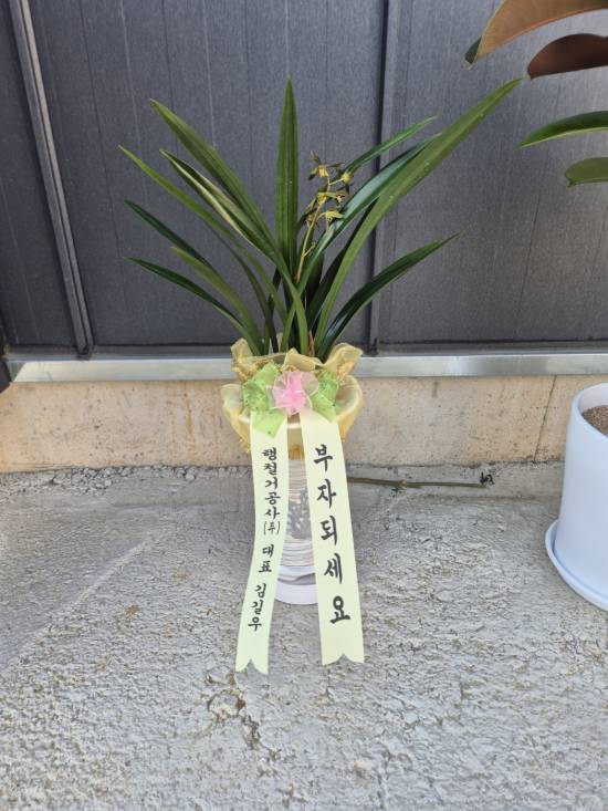 업로드 이미지
