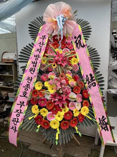 업로드 이미지
