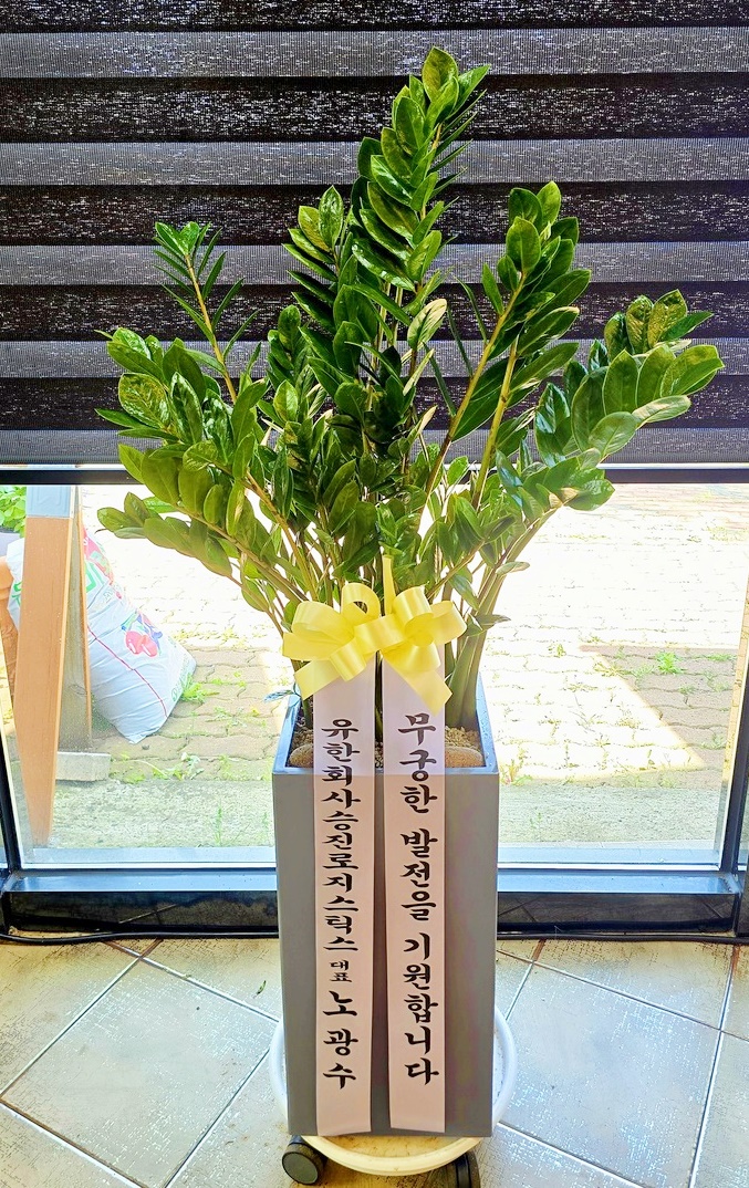 배송사진