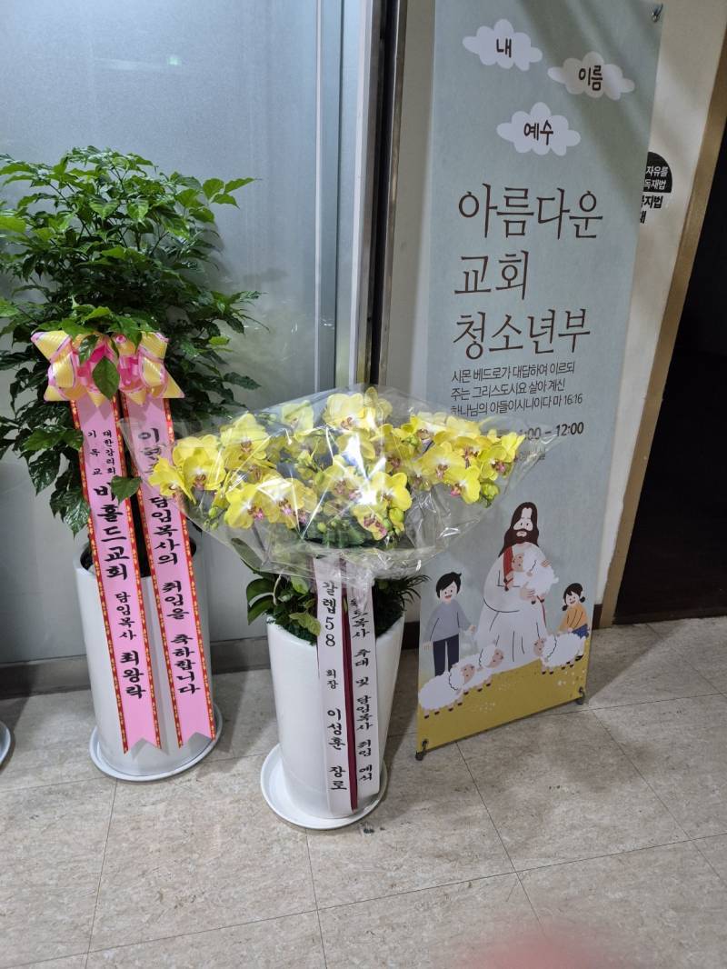 업로드 이미지