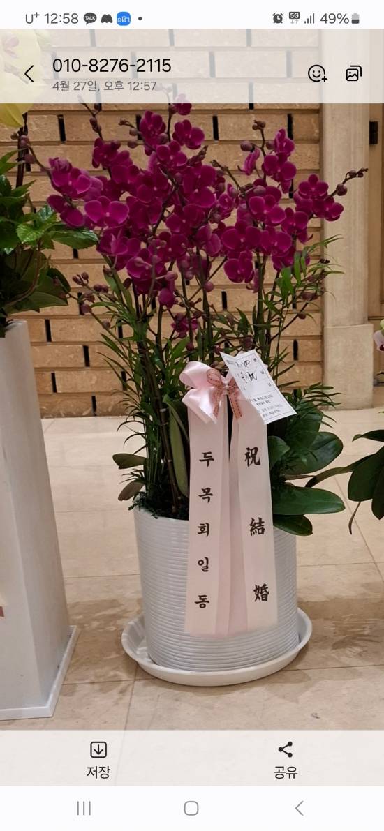 업로드 이미지