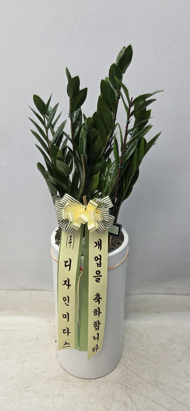 업로드 이미지