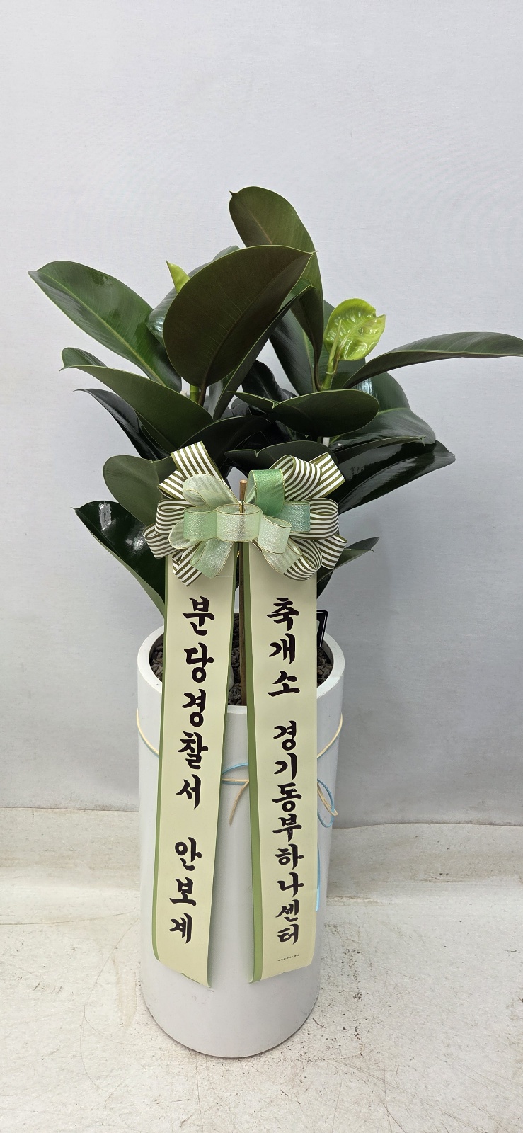 업로드 이미지