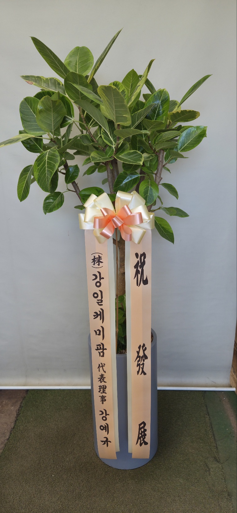 업로드 이미지
