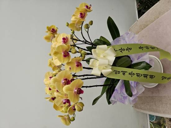업로드 이미지