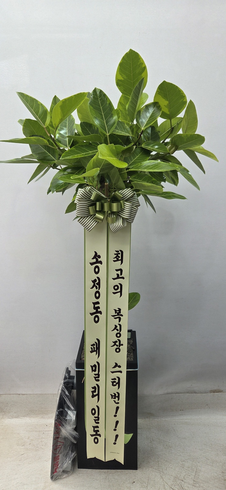 업로드 이미지