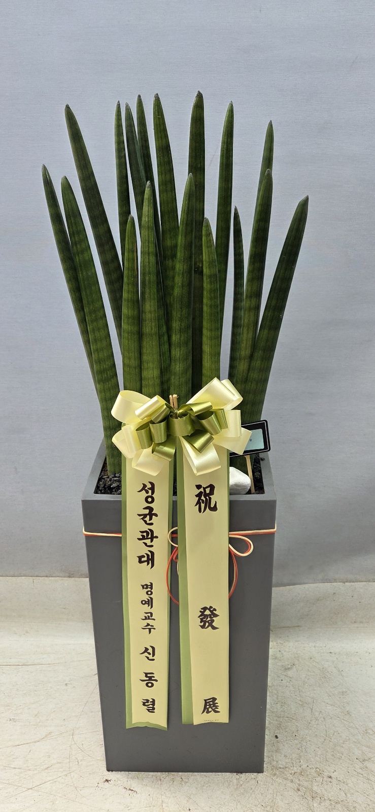 업로드 이미지
