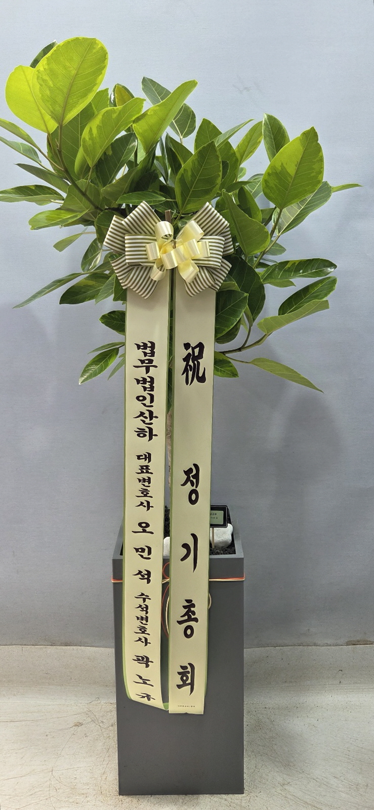 업로드 이미지