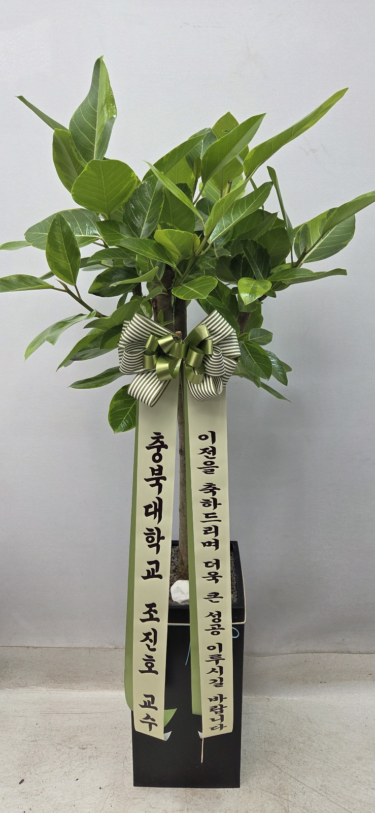 업로드 이미지