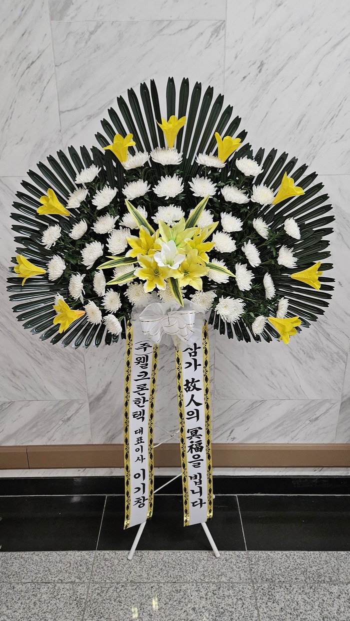 업로드 이미지