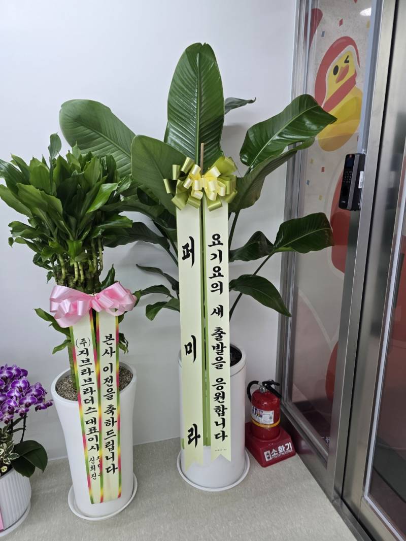 업로드 이미지
