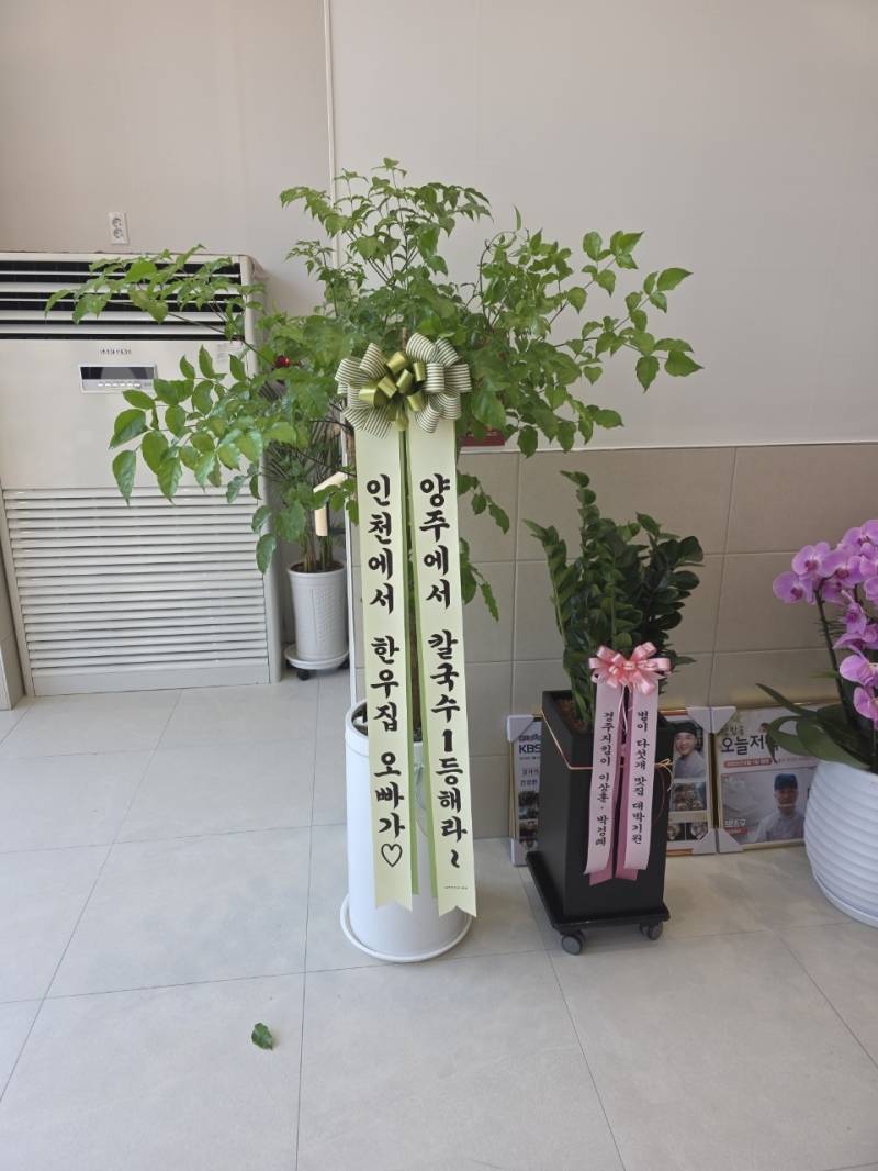 업로드 이미지