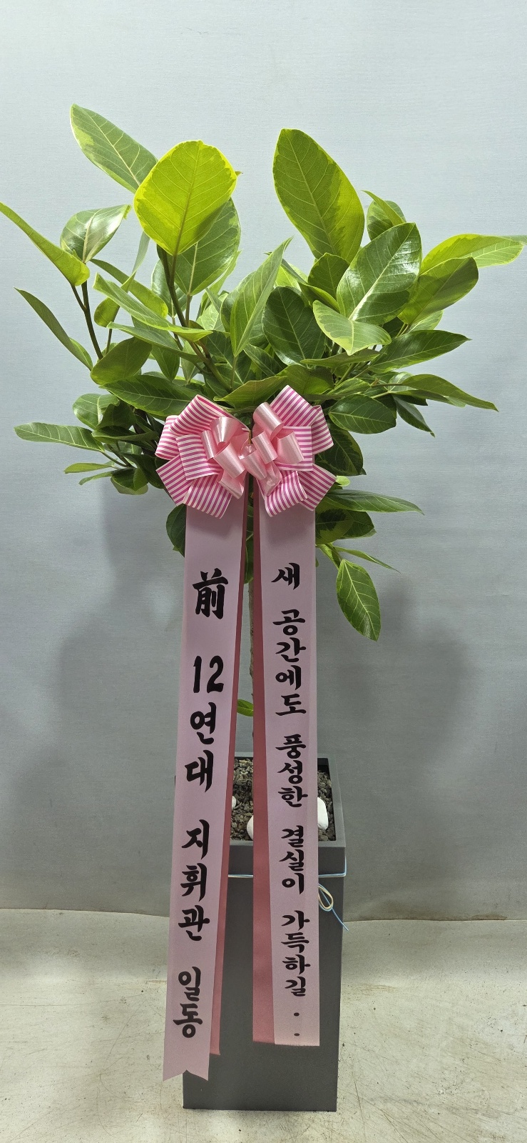 업로드 이미지