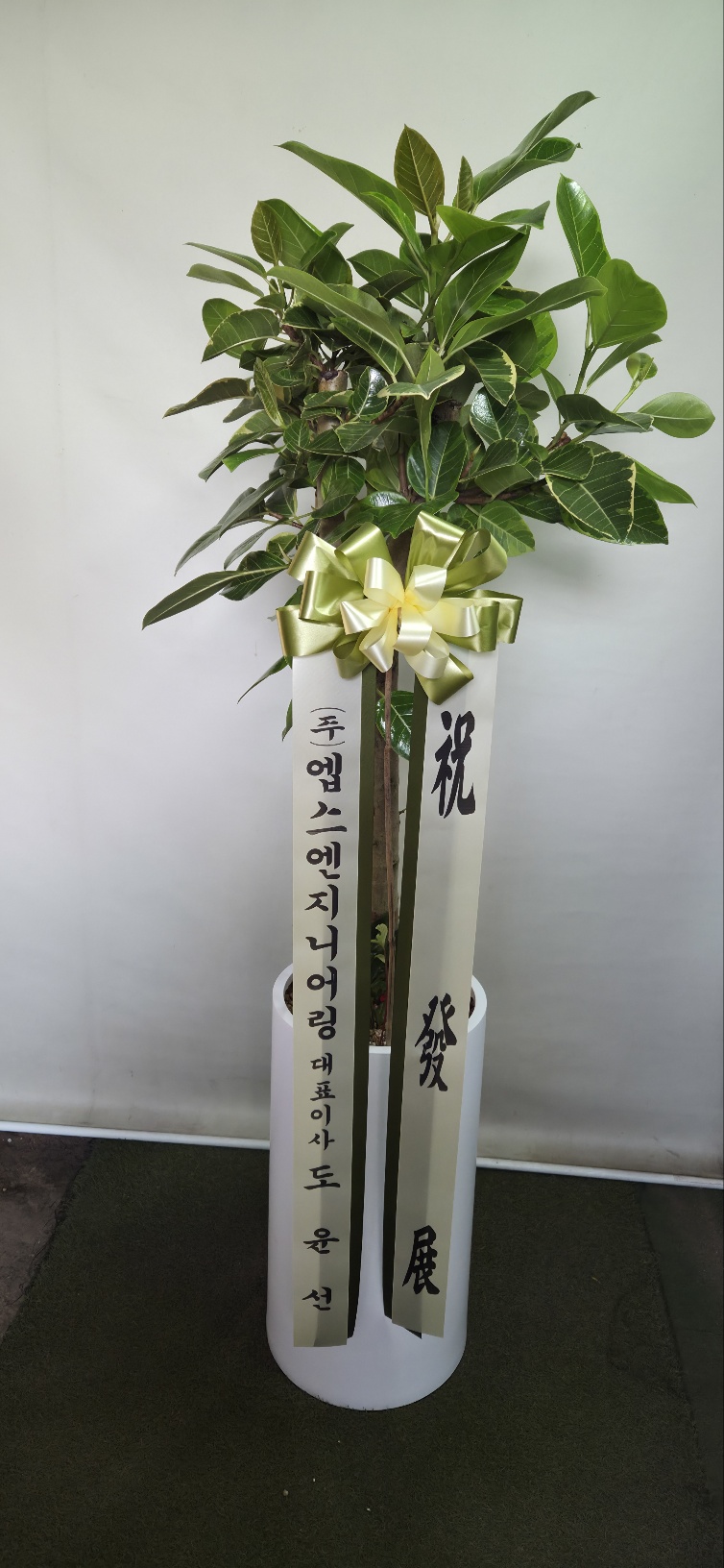 업로드 이미지
