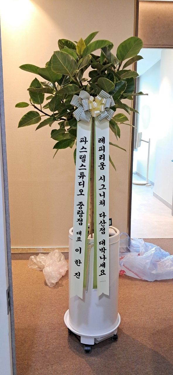 업로드 이미지