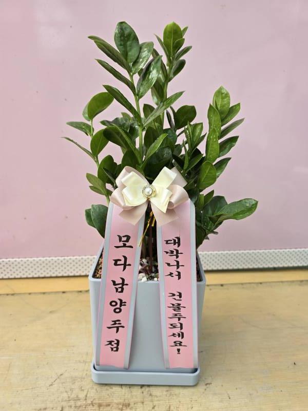 업로드 이미지