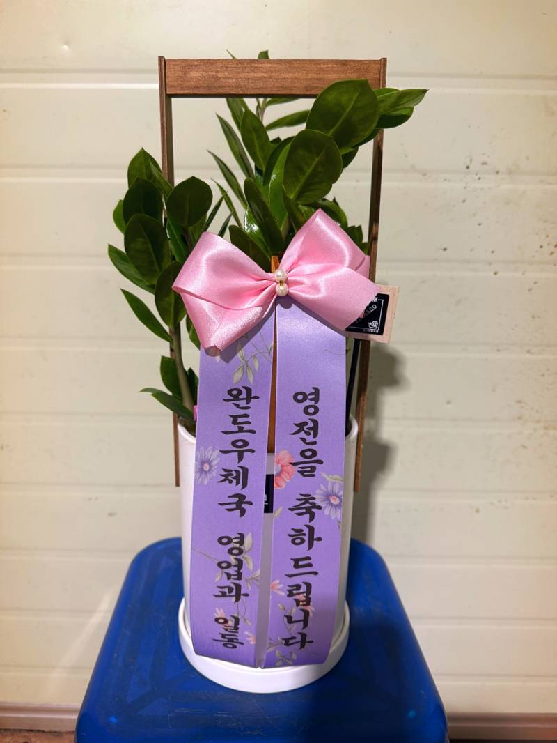 업로드 이미지