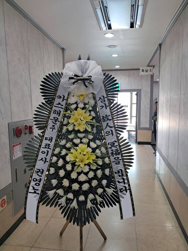업로드 이미지