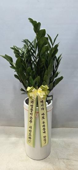 업로드 이미지