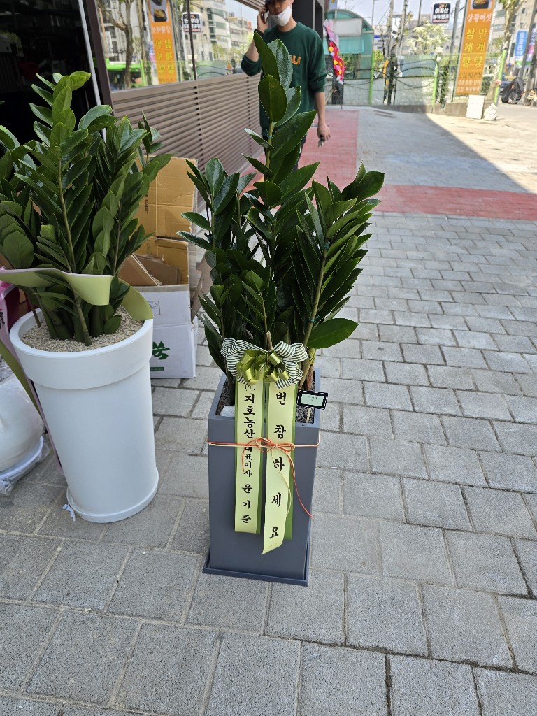 업로드 이미지