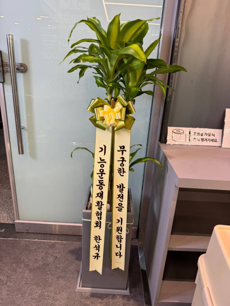 업로드 이미지