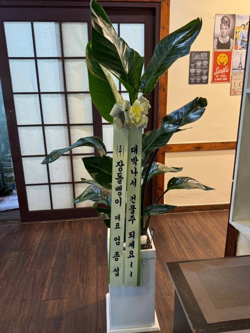 업로드 이미지