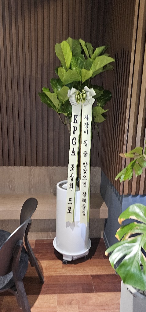 업로드 이미지