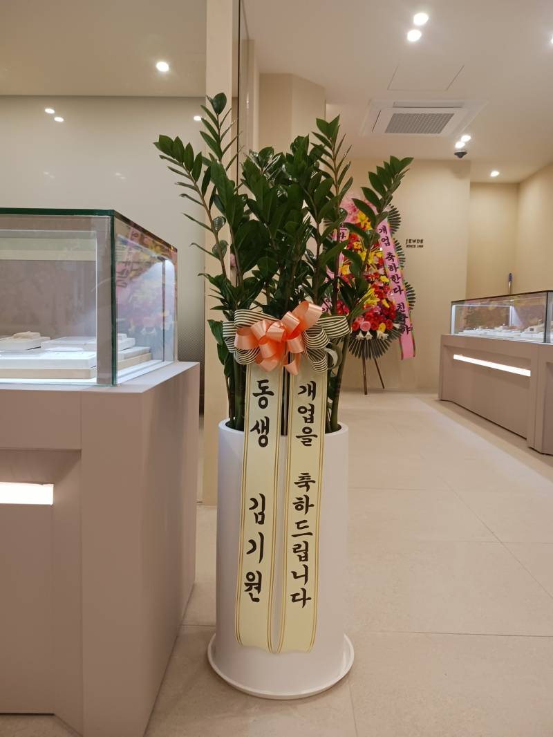 업로드 이미지