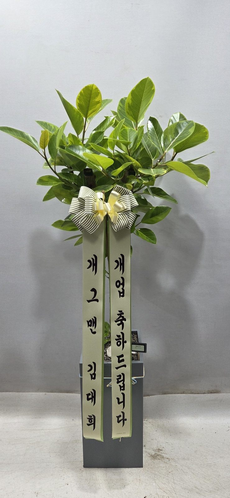 업로드 이미지