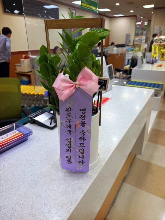 업로드 이미지