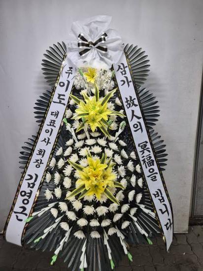 업로드 이미지