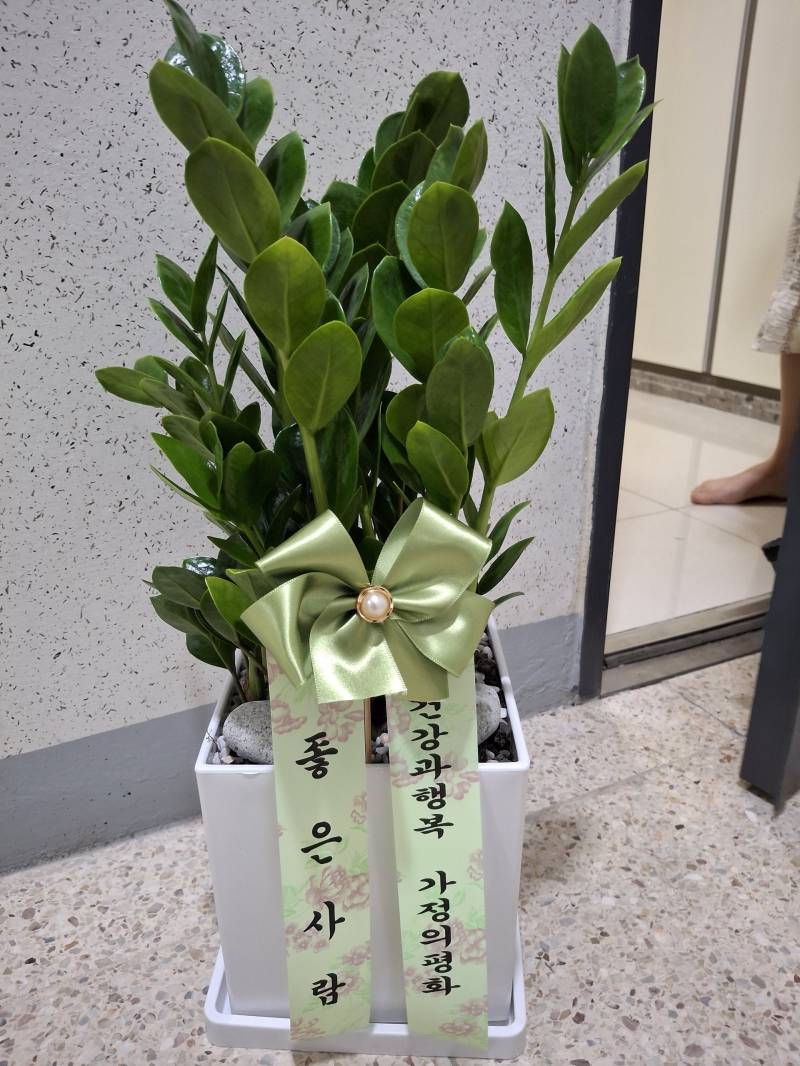 업로드 이미지
