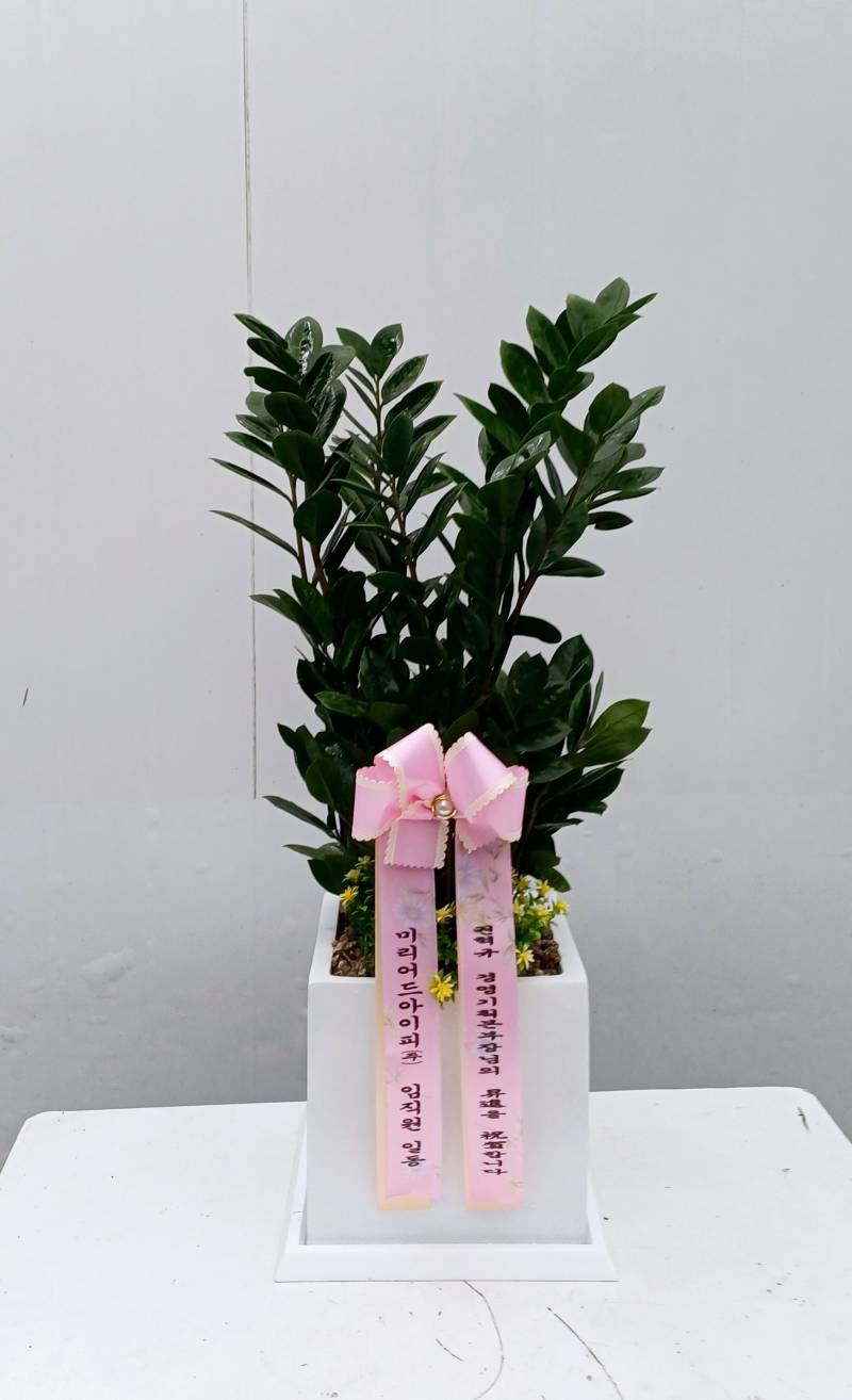 업로드 이미지