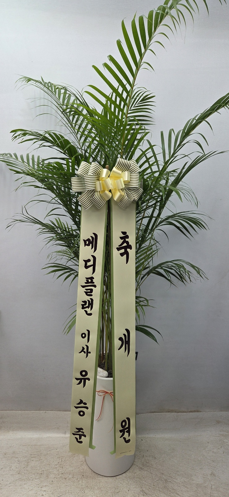 업로드 이미지