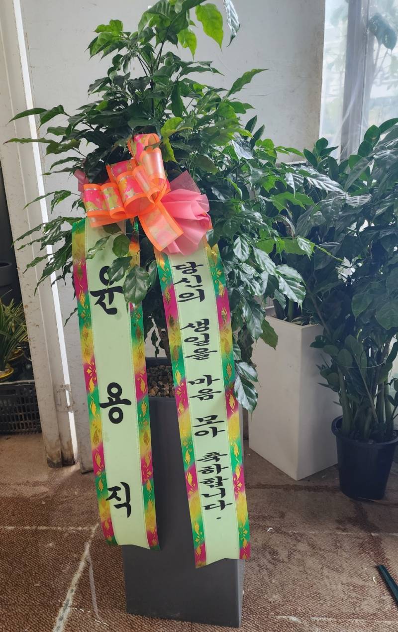 업로드 이미지