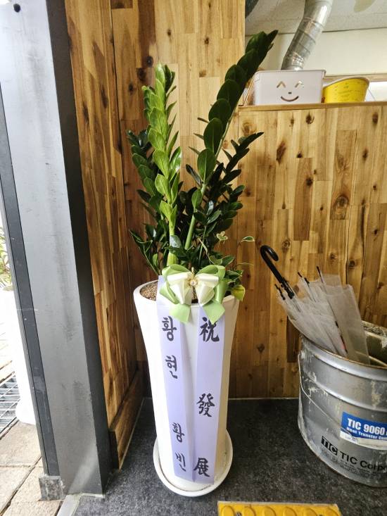 업로드 이미지