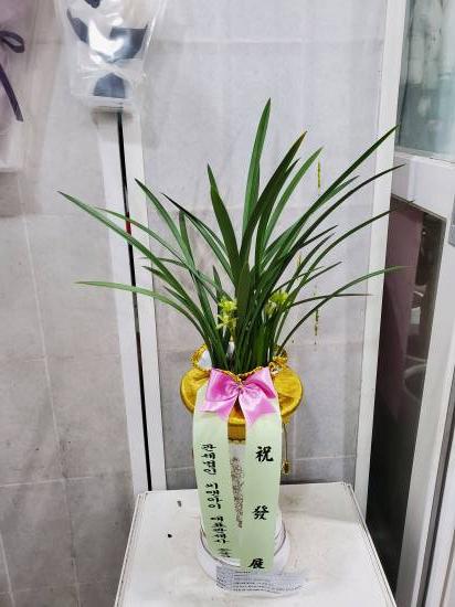 업로드 이미지